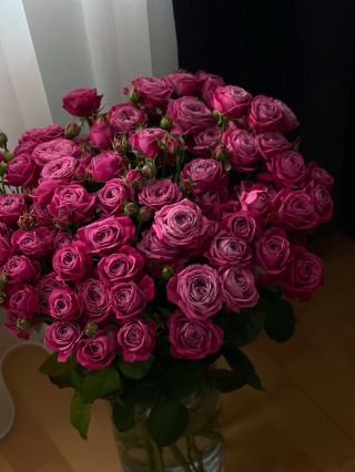 Квіти це мова, яку розуміє кожне серце. Вони говорять ніжністю там, де бракує слів 💕 Щоб зробити замовлення: +420 606 398...